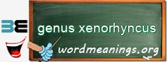 WordMeaning blackboard for genus xenorhyncus